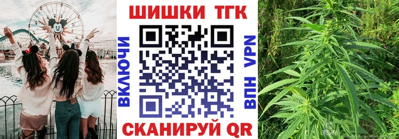 Канабис Стародуб