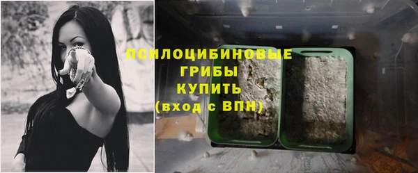 трава Ладушкин