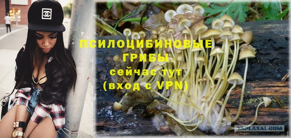 дмт Кулебаки